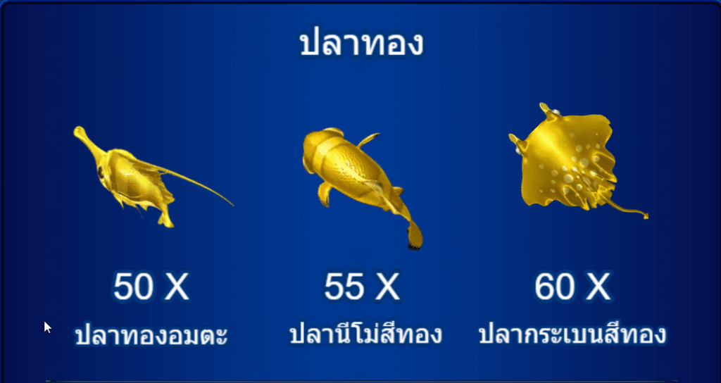 ปลาทองจะมีอัตราการจ่ายอยู่ที่ X50 , X55 , X60